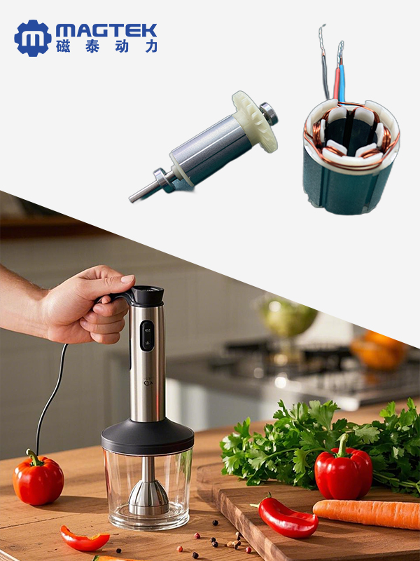 手持式攪拌器電機(jī)